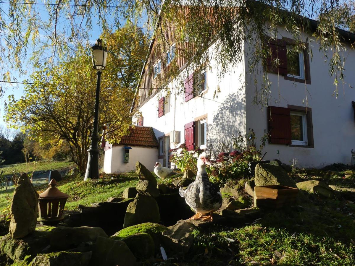 La Grange Du Kerala Bed and Breakfast Ban-sur-Meurthe-Clefcy Exterior foto